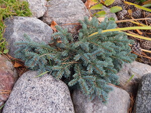 DSCN4056.JPG