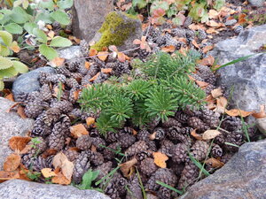 DSCN4061.JPG