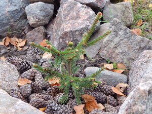DSCN4064.JPG