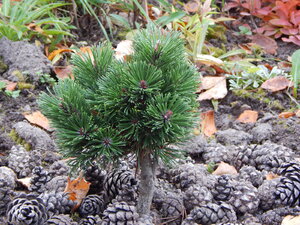 DSCN4066.JPG