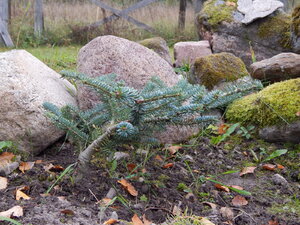 DSCN4078.JPG