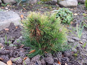 DSCN4080.JPG