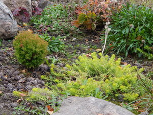 DSCN4081.JPG