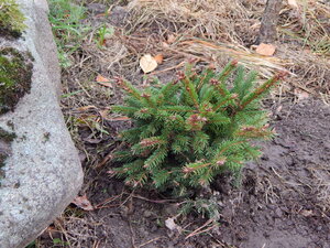 DSCN4082.JPG
