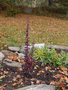 DSCN4062.JPG