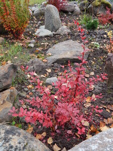DSCN4068.JPG