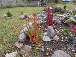DSCN4069.JPG