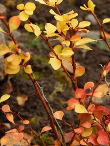 DSCN4072.JPG