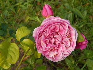 DSCN3924.JPG