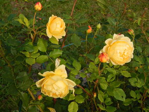 DSCN3929.JPG