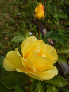 DSCN3931.JPG