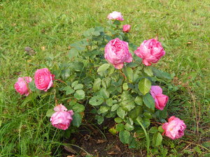 DSCN3933.JPG