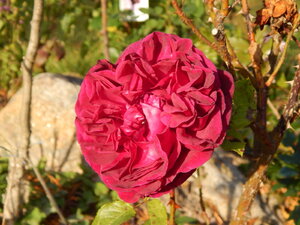 DSCN3956.JPG