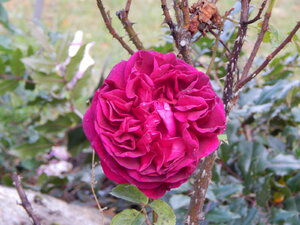 DSCN4049.JPG