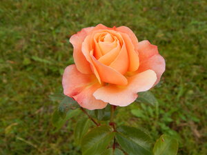 DSCN4128.JPG