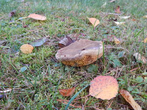 DSCN4156.JPG