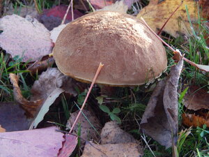 DSCN4158.JPG
