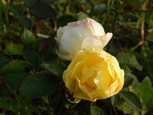 DSCN4162.JPG