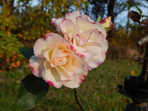 DSCN4164.JPG