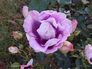 DSCN3978.JPG