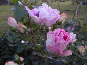 DSCN3979.JPG