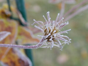 DSCN4181.JPG