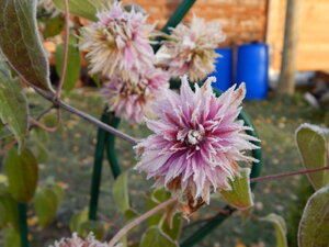 DSCN4186.JPG