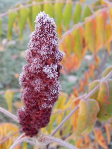 DSCN4188.JPG