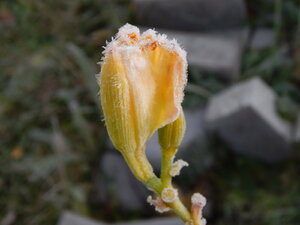 DSCN4189.JPG