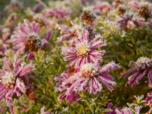 DSCN4190.JPG