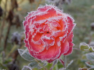 DSCN4191.JPG