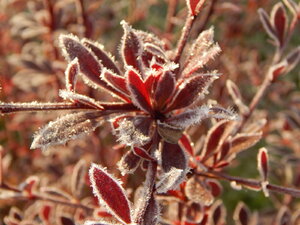 DSCN4192.JPG