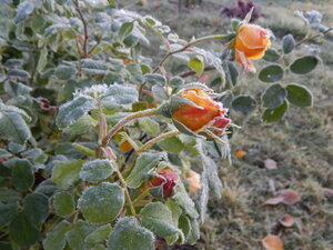 DSCN4184.JPG