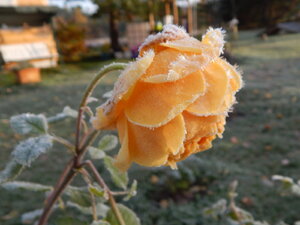 DSCN4185.JPG