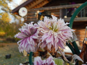 DSCN4187.JPG