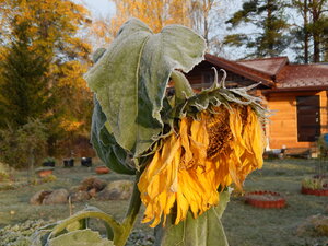 DSCN4194.JPG