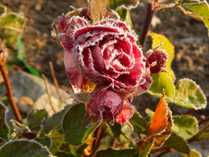 DSCN4195.JPG