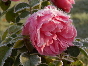 DSCN4197.JPG