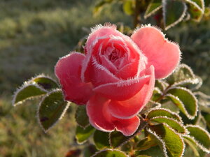DSCN4198.JPG
