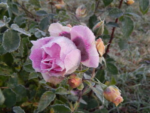DSCN4199.JPG