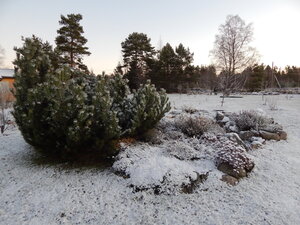 DSCN4244.JPG