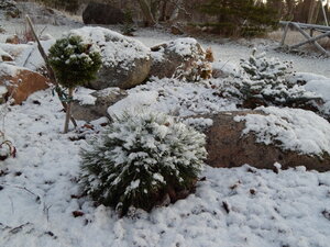 DSCN4250.JPG