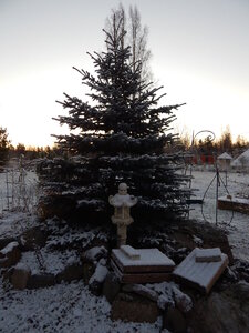 DSCN4258.JPG