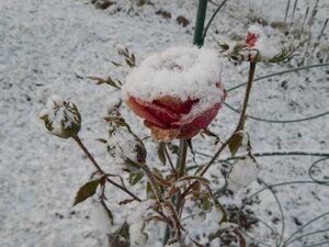 DSCN4240.JPG
