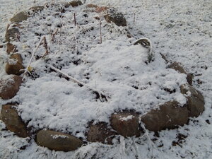 DSCN4257.JPG