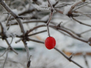 DSCN4260.JPG