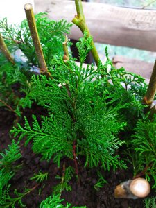 IMG_20201026_150327.jpg