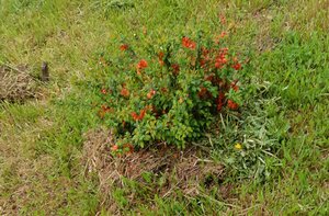 20201210_085100.jpg