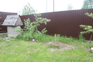 IMG_2170.JPG