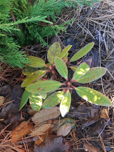 20201109_095751.jpg